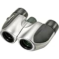 Olympus Roamer 8x21 DPC I Compact Porro Prism Binocular (Silver)