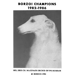 Borzoi Champions: 1982-1986