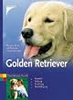 Golden Retriever. Auswahl, Haltung, Erziehung, Besch�ftigung