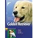 Golden Retriever. Auswahl, Haltung, Erziehung, Beschäftigung (PraxisWissen Hund)