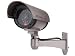 41H5I1Q4RfL. SL75  dummy security camera led