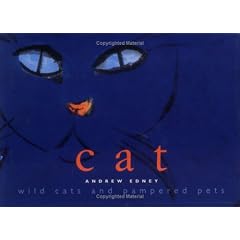 Cat: Wild Cats