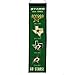 Winning Streak NHL Dallas Stars Heritage Banner