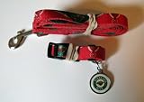 Minnesota Wild Pet Accessories Set - Medium (6' Leash, Collar, and ID Tag)