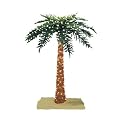 Lighted Royal Palm Tree - 7