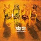 Fourfold Remedy by Velocette