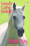 Dream Pony (Sandy Lane Stables Series)