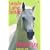 Dream Pony
