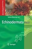 Echinodermata
