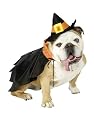 Pet Dog Witch Costume