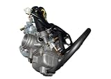 250cc CARBURETOR ASSY