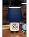 Tampa Bay Devil Rays Dual Lit Accent Lamp