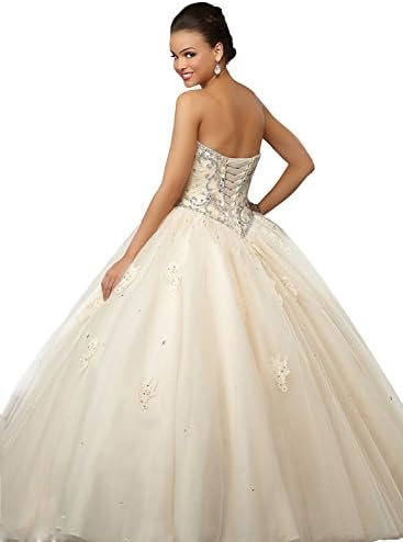 Zhu Li Ya Women's Appliques Ball Gown Prom Quinceanera Dresses Patry Gowns (16, Champagne)