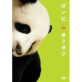 ぱんだdeまふまふ [DVD]
