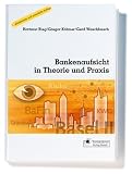 Bankenaufsicht in Theorie und Praxis