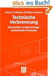 Technische Verbrennung, Simulation mo...