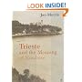 Trieste and the Meaning of Nowhere