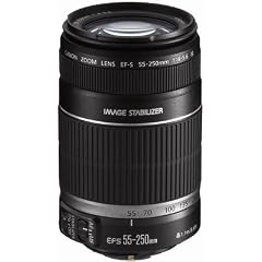 Canon EF-S 4,0-5,6/55-250 IS Objektiv