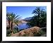 Date Palms in the Draa Valley, Draa Valley, Ouarzazate, Morocco Lonely Planet Collection Framed Art Poster Print by John Elk III, 31x25