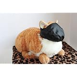 Cat Muzzle: Size Choice or 3 Pack (SMALL, MEDIUM or LARGE) BLACK, by Downtown Pet Supply