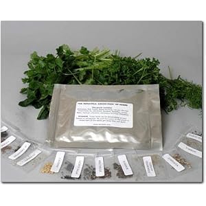 Assortment of 12 Culinary Herb Seeds - Grow Cooking Herbs- Parsley, Thyme, Cilantro, Basil, Dill, Oregano, Sage, More