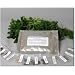 Assortment of 12 Culinary Herb Seeds - Grow Cooking Herbs- Parsley, Thyme, Cilantro, Basil, Dill, Oregano, Sage, More