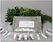 Assortment of 12 Culinary Herb Seeds - Grow Cooking Herbs Indoors or Outdoors - Parsley, Thyme, Cilantro / Coriander, Basil, Dill, Oregano, Sweet Marjoram, Chives, Savory, Garlic Chives, Mustard, Sage
