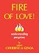 Books : Fire of Love!: Understanding Purgatory