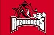 Arkansas Razorbacks College Style Tufted Floor Rug - NCAA College Athletics Fan Shop Merchandise