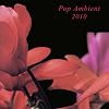 Pop Ambient 2010 [12 inch Analog]