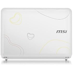 MSI Wind U100-043US Laptop