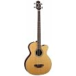 Takamine Pro Series TB240SC-NS Mahogany Acoustic Electric Bass Guitar, Natural with Case