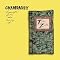 Grandaddy ~ He's the Pilot
