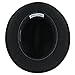 Belfry Bogart - Crushable Soft Wool Fedora