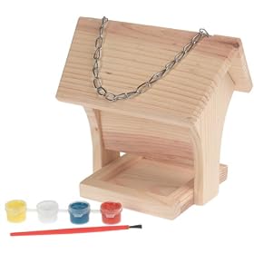 Paint-A-Bird Feeder by Toysmith