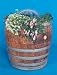 Kitchen & Housewares : Scrap Eater Living Machine Composter