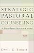 Strategic Pastoral Counseling: A Short-Term Structured Model