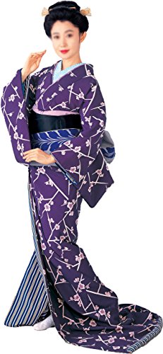 【裾引】　仕立て上がり　紫地　梅 　舞台衣装　50021　【引き摺り】