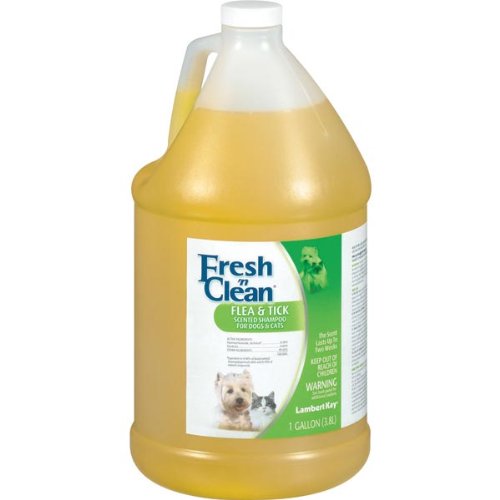 Fresh N Clean Scented Flea & Tick Shampoo Gal @