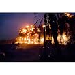 Palm Grove in Iraq (U.S. Detonated Explosions) Art Poster Print - 11x17