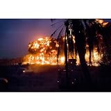 Palm Grove in Iraq (U.S. Detonated Explosions) Art Poster Print - 11x17