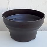 フレグラーボール：30型ダークブラウン 6個セット[10号プラ鉢　直径29.5cm、高さ17cm]