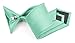 Moda Di Raza - Boy's NeckTie Solid Clip on - Kid's Necktie - Mint Green 14