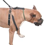 Pet Supplies : Pro Stop! Gentle Restraining Harness - Regular Size