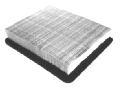 FRAM PPA7344 Air Hog Panel Filter