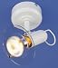 Kitchen & Housewares : Micromark MM7973 Luna Single Spotlight in White
