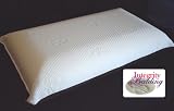 Italian Visco Memory Foam Pillow with CoolPlus Cover CPC-06 - SALE