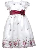 Rare Editions Girls 2-6X Embroidered Dress