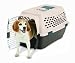 Petmate 21277 Kennel Cab Fashion Pet Carrier, Large