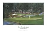 Augusta the 11th, Art Poster by Jim Harrington